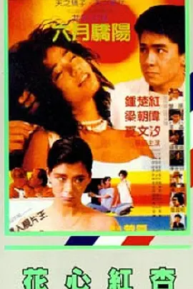 日韩一区二区不卡