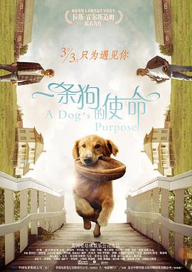 看片久久