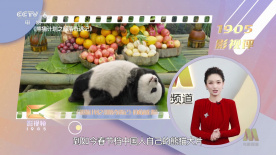 集币在线官网